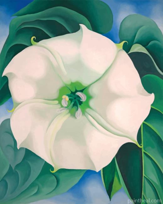 Georgia O Keeffe White Flower Painting By Numbers Kits