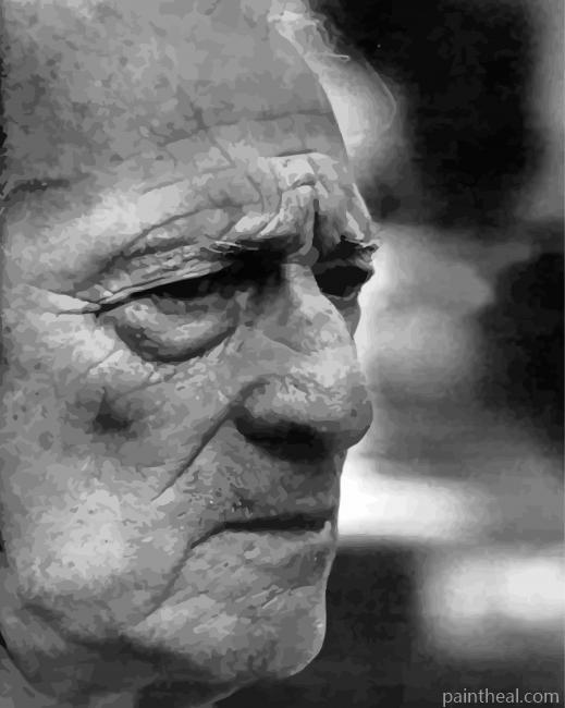 Black And White Close Up Henri Lefebvre Painting By Numbers Kits