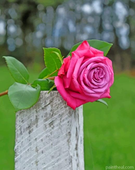 Pink Rose On Trunk Painting By Numbers Kits