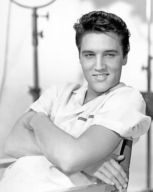 Elvis Presley NEW Painting By Numbers Kits