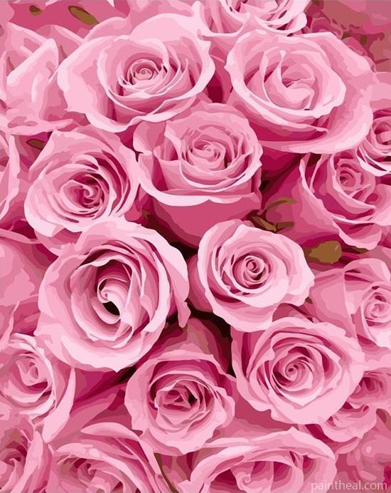 Pink Blooming Roses Painting By Numbers Kits