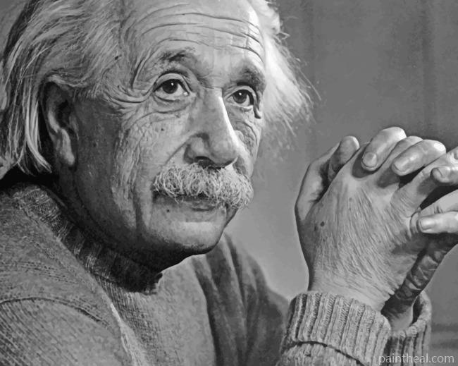 Black and White Albert Einstein Painting By Numbers Kits