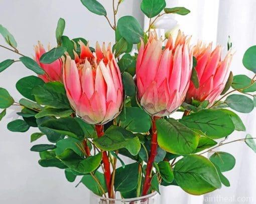 Protea Pink Plants Painting By Numbers Kits