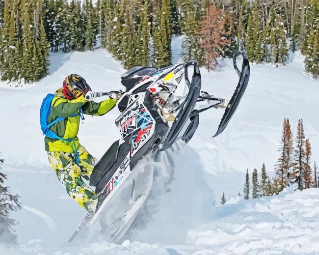 Snowmobile Rider Painting By Numbers Kits