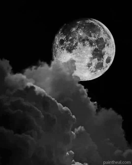 Black And White Full Moon NEW Painting By Numbers Kits