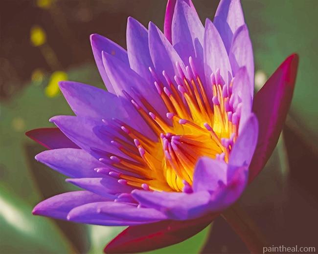 Purple Lotus Painting By Numbers Kits