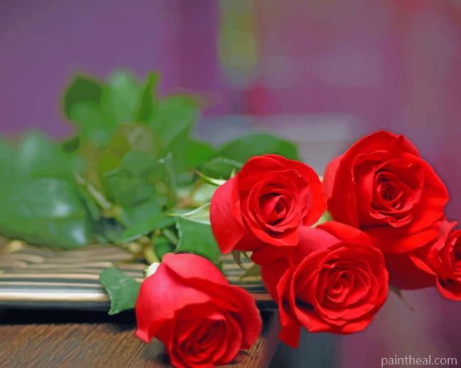 Red Rose Blooms Painting By Numbers Kits