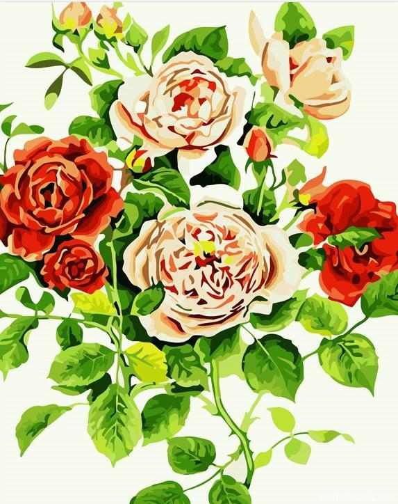 Spring Peony Flowers Painting By Numbers Kits