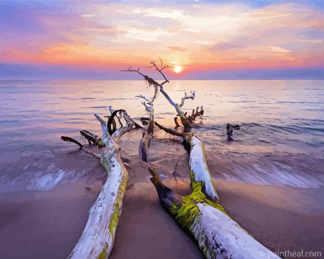 Dead Beach Tree Painting By Numbers Kits