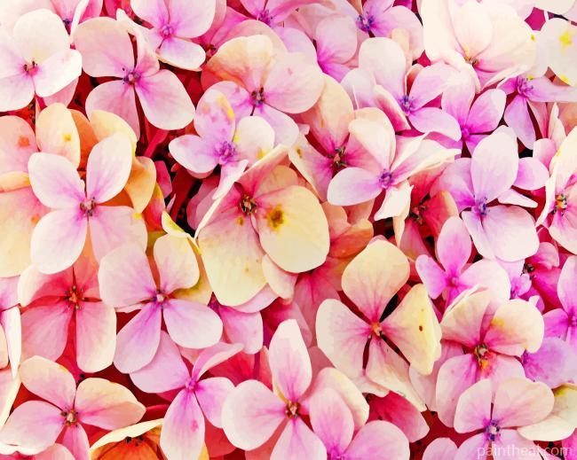 Pink Hydrangea Painting By Numbers Kits