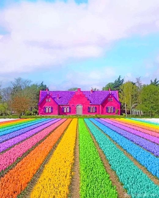 Colorful Nature Field Painting By Numbers Kits