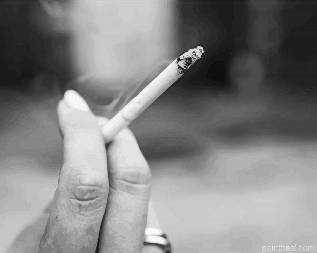 Black And White Tobacco Painting By Numbers Kits