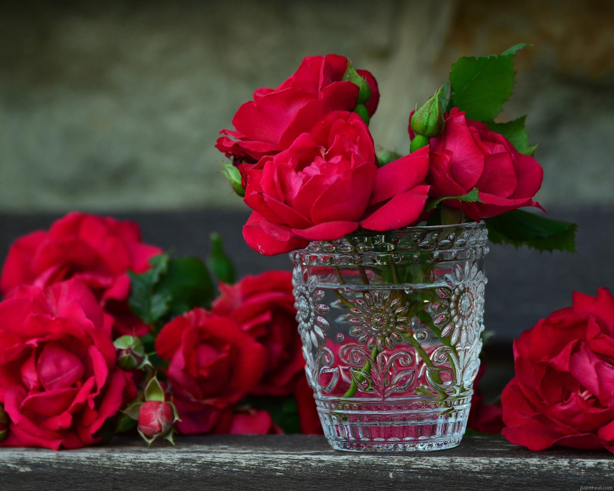 Red Rose In Glass Cup Painting By Numbers Kits