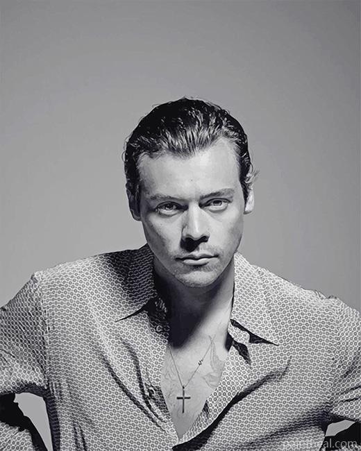 Harry Styles New Hair NEW Painting By Numbers Kits