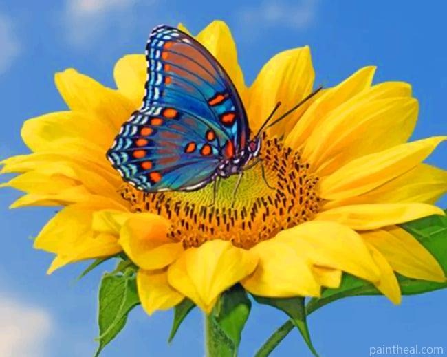 Blue Butterfly On Sunflower Painting By Numbers Kits