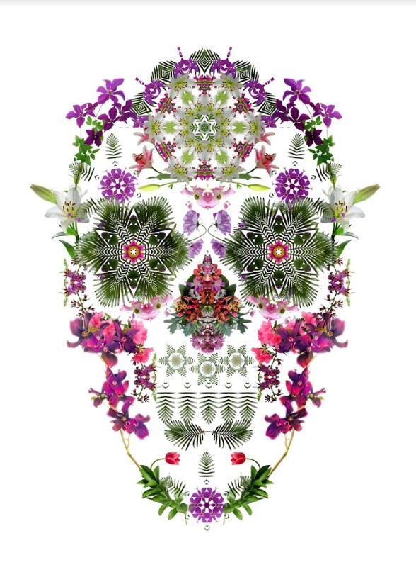 Flowers Skull Painting By Numbers Kits