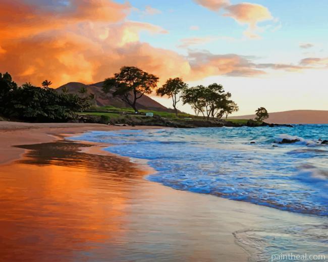 Hawaii Beach NEW Painting By Numbers Kits