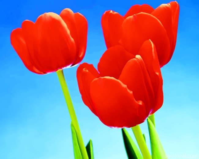 Red Tulips Flowers Painting By Numbers Kits