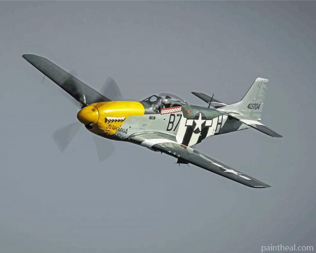 Mustang P51 Plane Painting By Numbers Kits