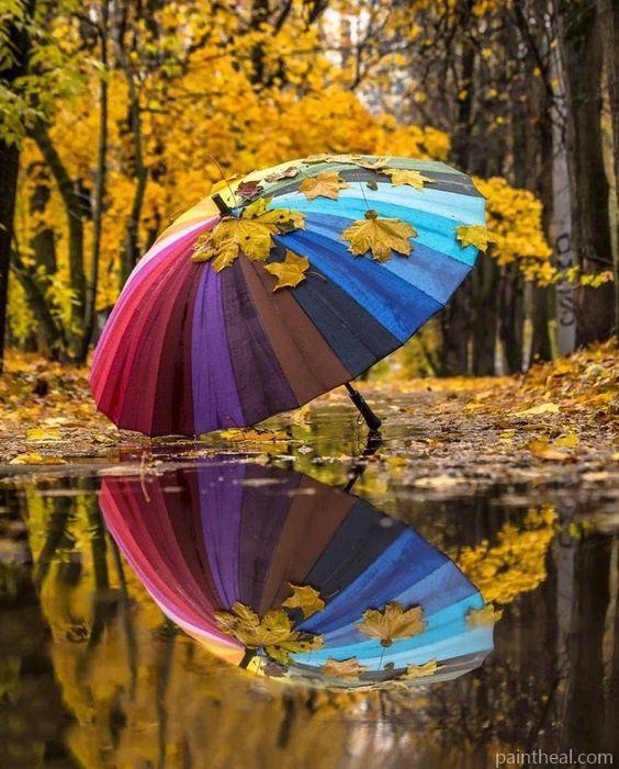 Colorful Umbrella In Forest Painting By Numbers Kits
