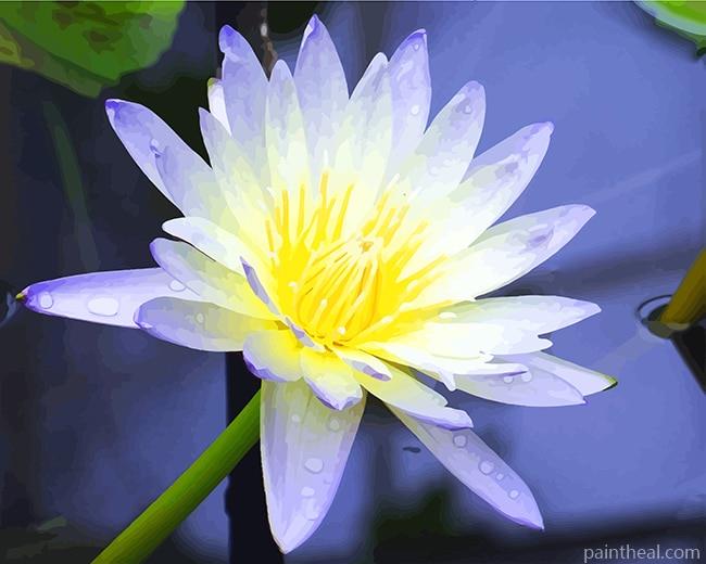 White Aquatic Plant Painting By Numbers Kits