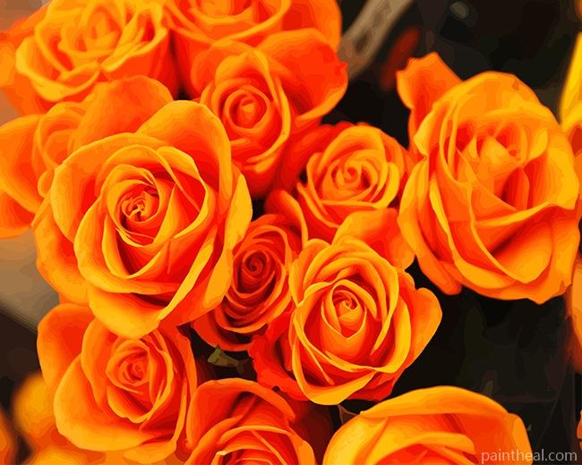 Orange Roses Flowers Painting By Numbers Kits