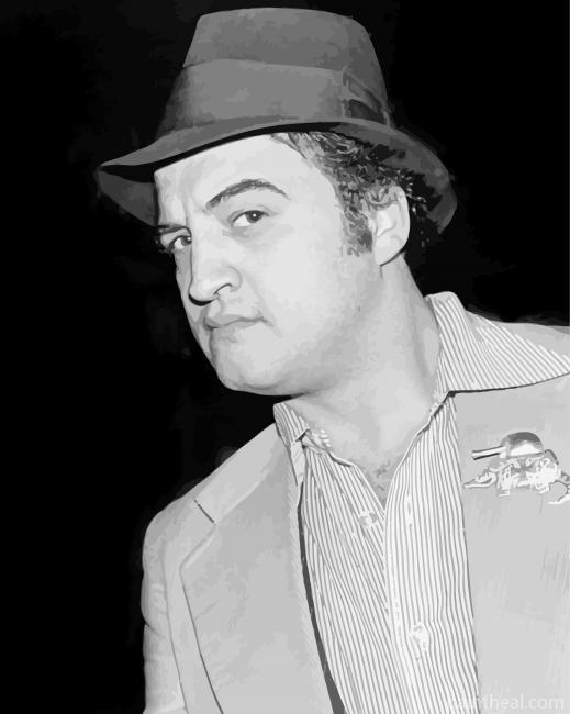 John Belushi Comedian Painting By Numbers Kits