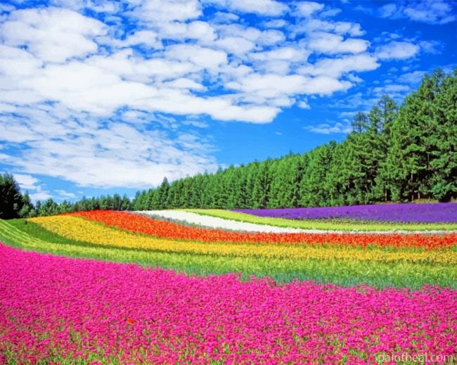 Colorful Field Painting By Numbers Kits