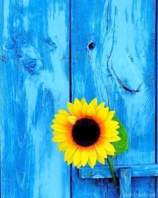 Sunflower With Blue Door Painting By Numbers Kits