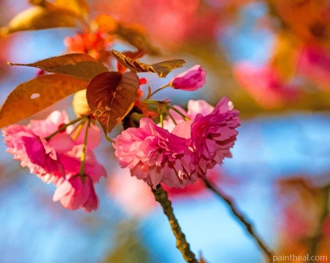 Japanese Cherry Blossom Painting By Numbers Kits