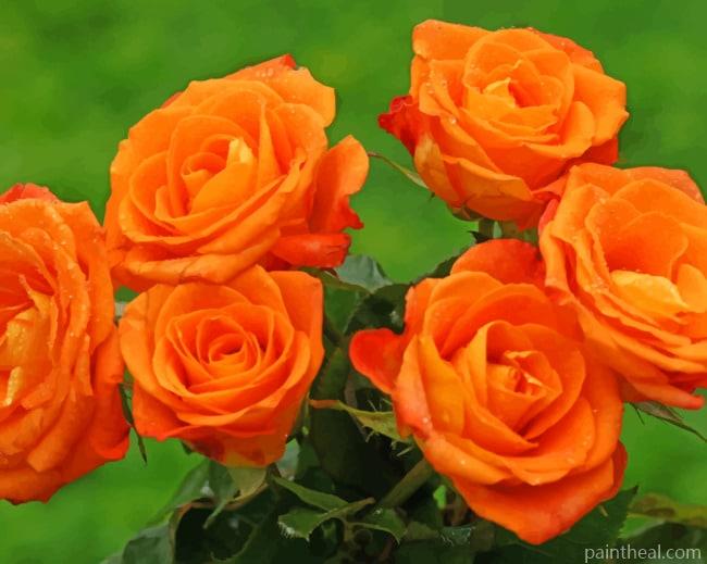 Garden Orange Roses Painting By Numbers Kits