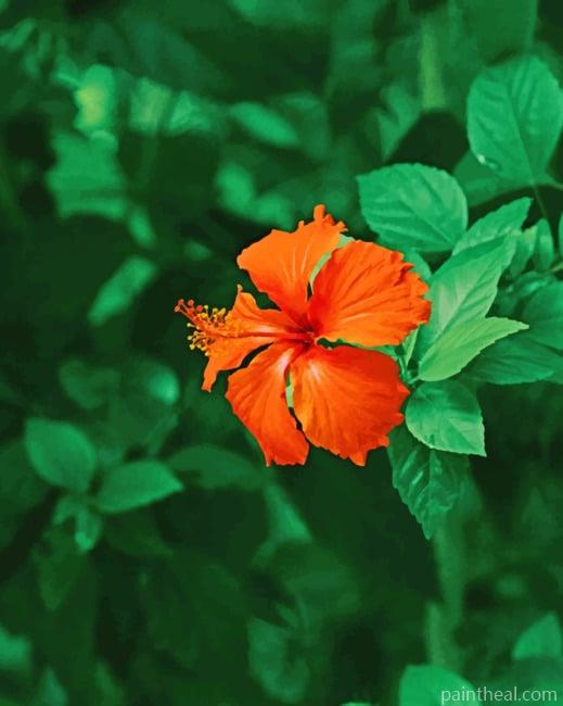 Orange Flower With Leaves Painting By Numbers Kits