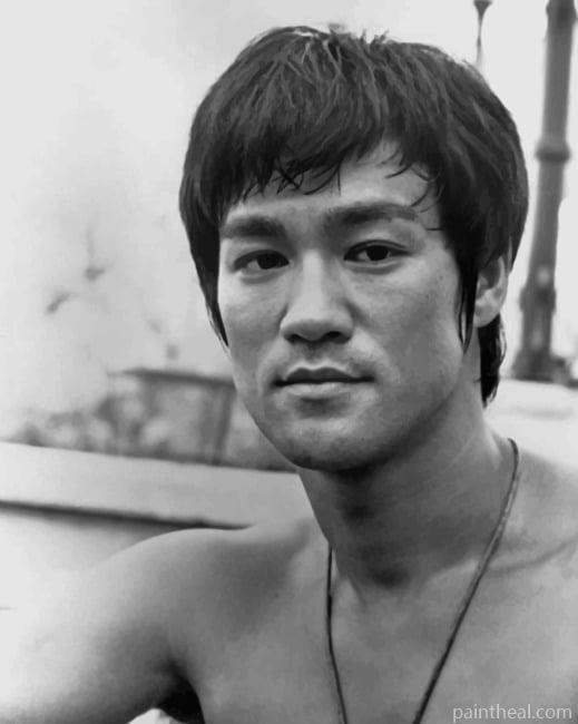 Black And White Bruce Lee NEW Painting By Numbers Kits