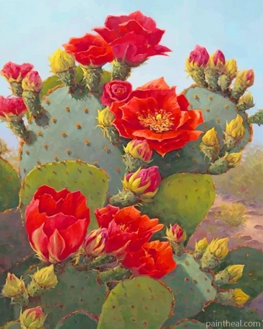 Beautiful Cactus Red Flowers Painting By Numbers Kits