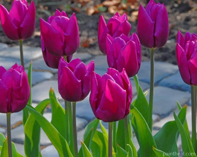 Purple Tulips Painting By Numbers Kits