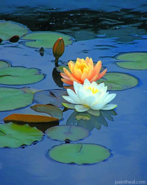 Water Lily Flower Painting By Numbers Kits