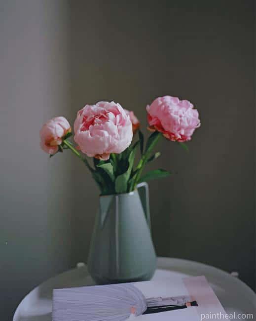Flowers In Home Bucket Painting By Numbers Kits