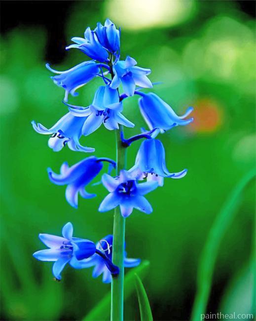 Aesthetic Bluebells Flower Painting By Numbers Kits