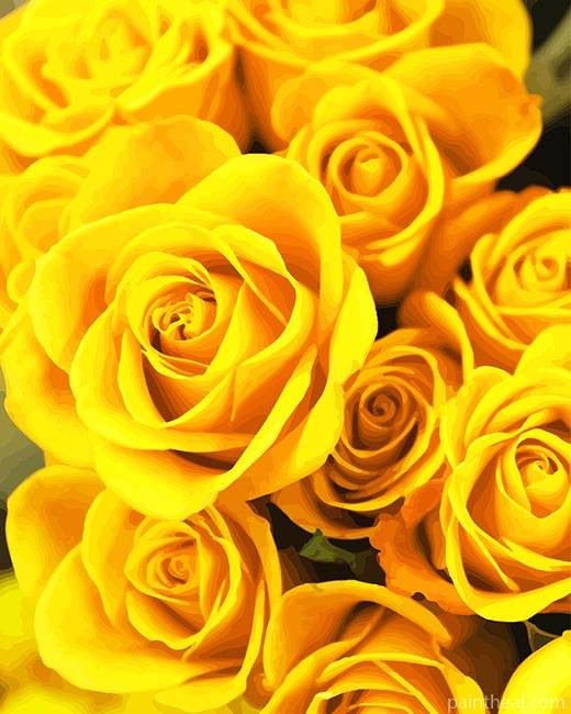 Yellow Roses Painting By Numbers Kits