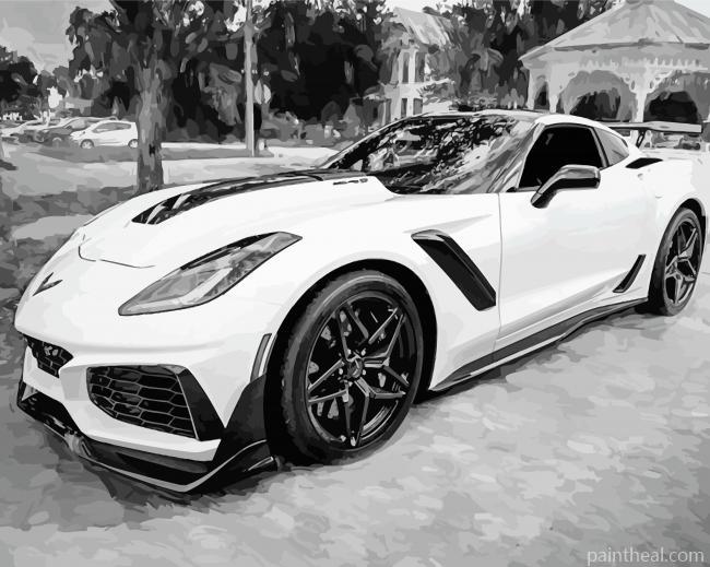 Black And White Corvette ZR1 Painting By Numbers Kits