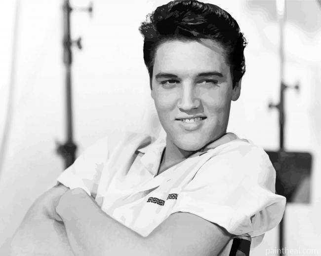 Black And White Elvis Painting By Numbers Kits
