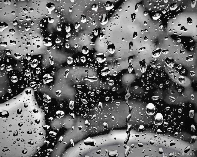 Black And White Rain Painting By Numbers Kits
