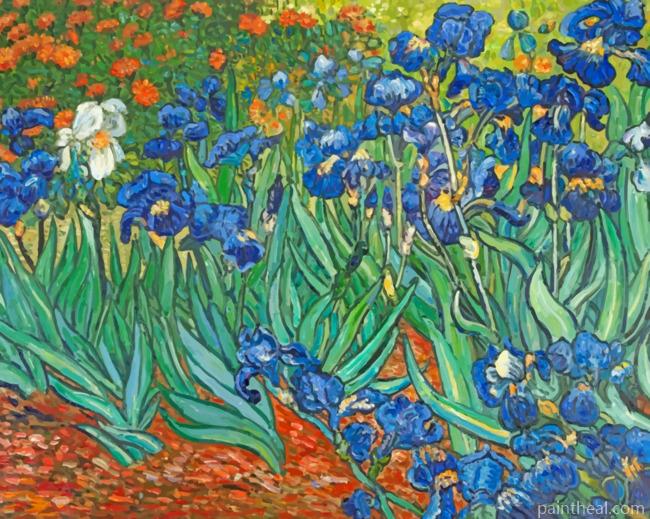 Van Gogh Irises Painting By Numbers Kits