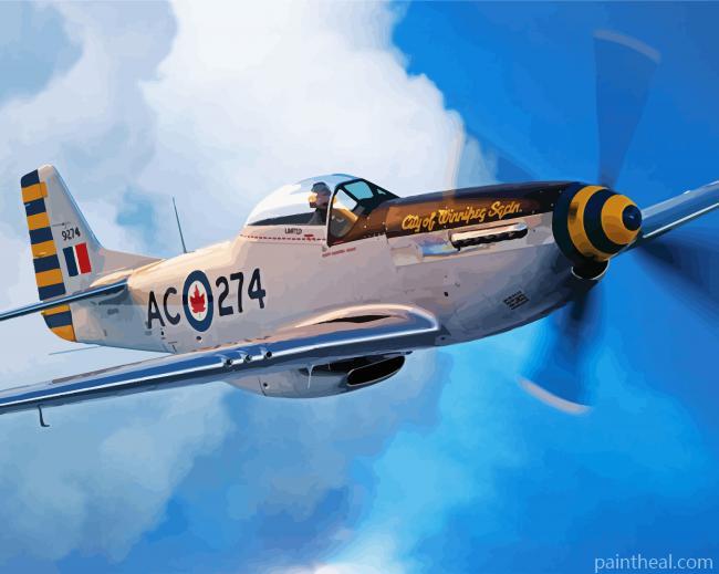 Flying P52 Mustang Painting By Numbers Kits