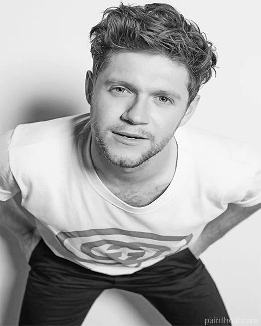 Niall Horan Black and white NEW Painting By Numbers Kits