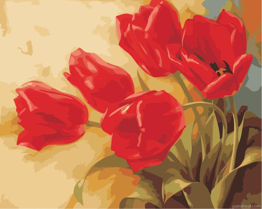 Red Tulip Flowers Painting By Numbers Kits