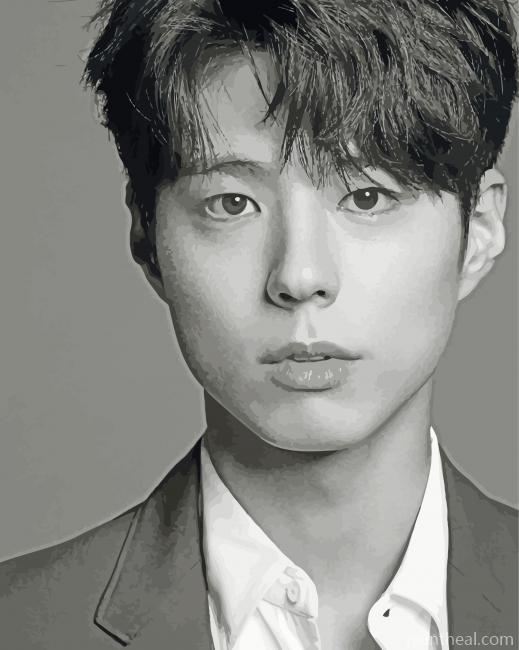 Black And White Park Bo Gum Painting By Numbers Kits