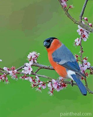 Bullfinch Bird Painting By Numbers Kits