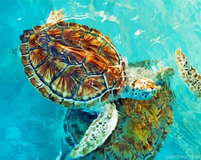 Tortugranja Cancun Painting By Numbers Kits