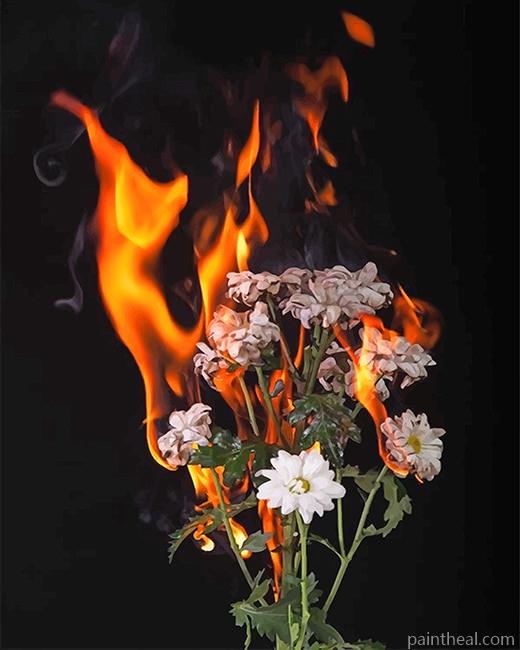 Burning Flowers Painting By Numbers Kits